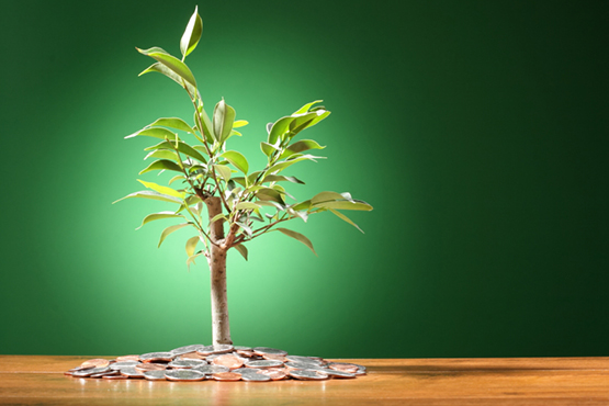 Seed Funding: The VC Option